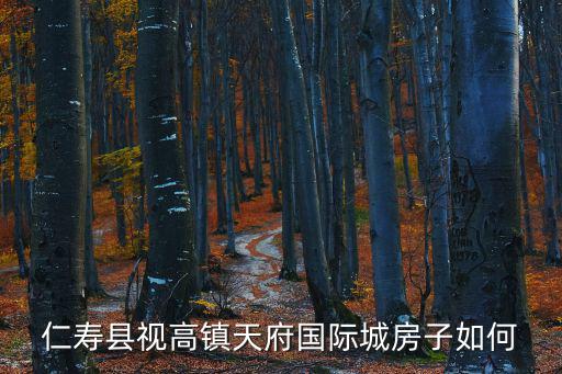 仁壽縣視高鎮(zhèn)天府國(guó)際城房子如何