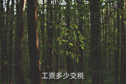 工資交稅標準,工資個稅計算公式:應(yīng)納稅額或×適用稅率