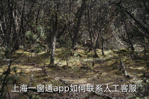 上海一窗通app如何聯(lián)系人工客服