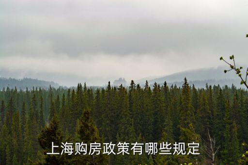 上海市 2018首臺套政策，2018年上海新政策大專學歷還加積分嗎內行知道的講下這兩天聽