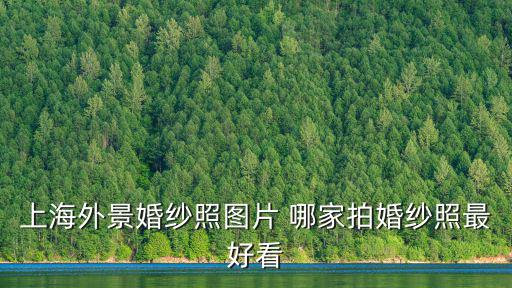 上海外景婚紗照圖片 哪家拍婚紗照最好看