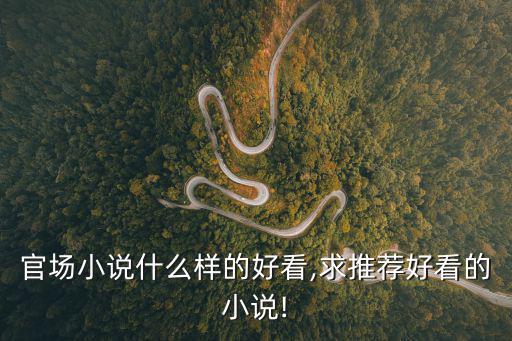 經典官場小說,官場風云之官道精華文