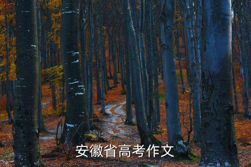 安徽省高考作文