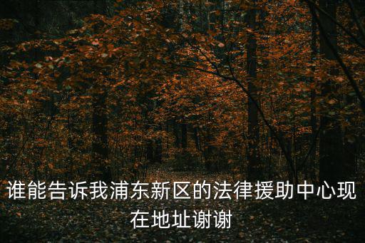 誰(shuí)能告訴我浦東新區(qū)的法律援助中心現(xiàn)在地址謝謝