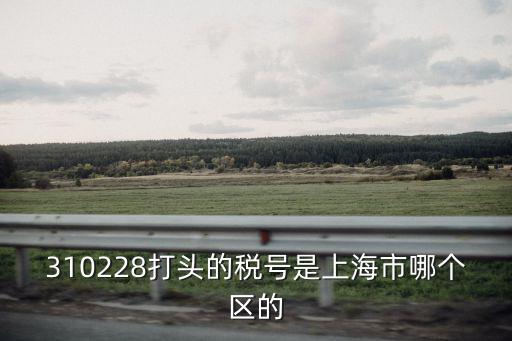 上海市楊浦區市東醫院稅號，310228打頭的稅號是上海市哪個區的