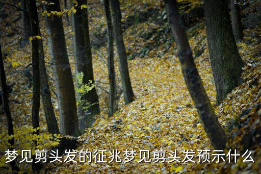 夢見剪頭發的征兆夢見剪頭發預示什么