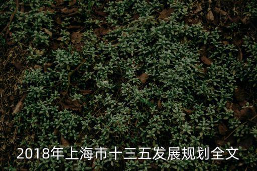 2018年上海市十三五發(fā)展規(guī)劃全文