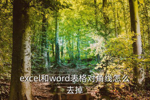 excel和word表格對角線怎么去掉