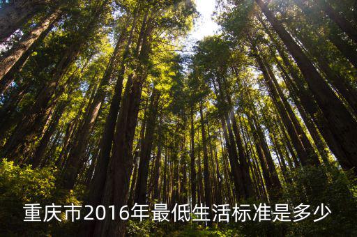 重慶市2016年最低生活標準是多少