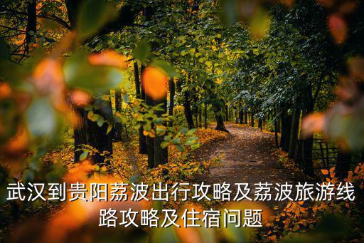武漢到貴陽(yáng)荔波出行攻略及荔波旅游線路攻略及住宿問(wèn)題