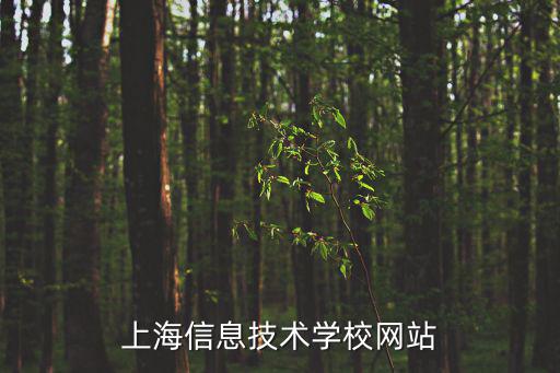 上海信息技術學校網站