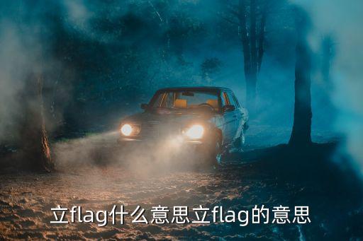 立flag什么意思立flag的意思