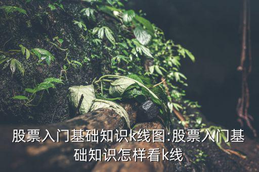 股票入門基礎知識k線圖:股票入門基礎知識怎樣看k線