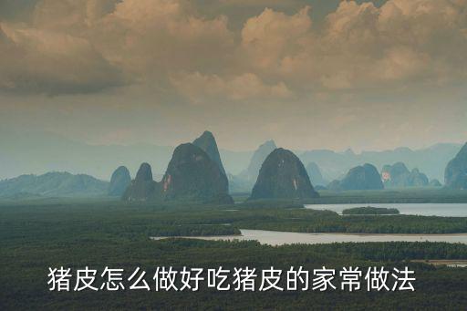 豬皮怎么做好吃豬皮的家常做法