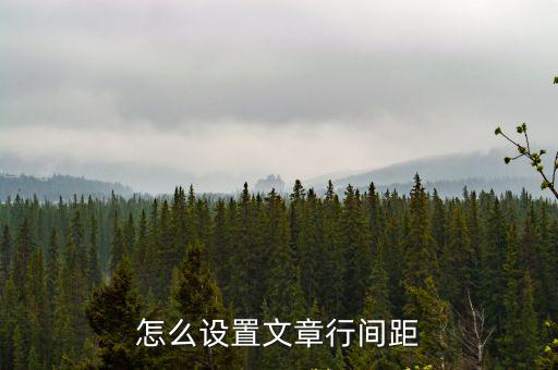怎么設(shè)置文章行間距