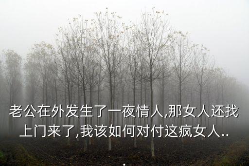 老公在外發(fā)生了一夜情人,那女人還找上門來了,我該如何對付這瘋女人...