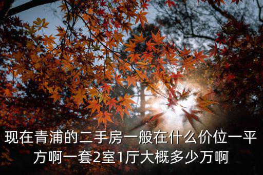 現在青浦的二手房一般在什么價位一平方啊一套2室1廳大概多少萬啊