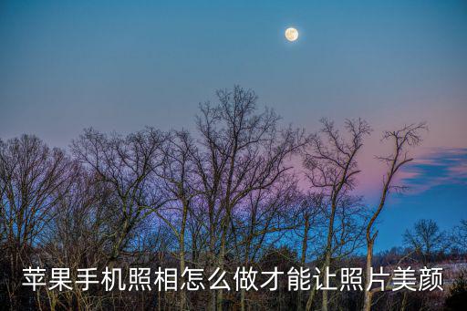 蘋果手機照相怎么做才能讓照片美顏