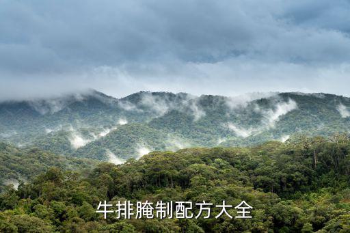 牛排配料,秘制牛排的做法和秘訣
