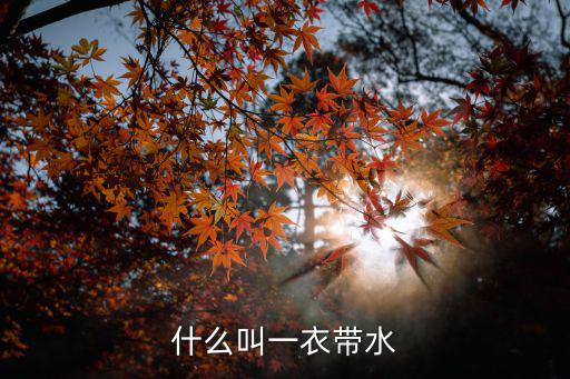 什么叫一衣帶水