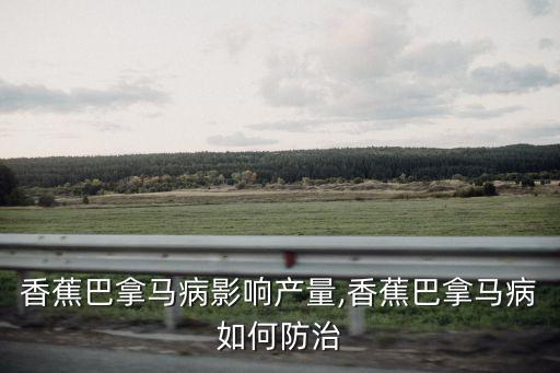 香蕉巴拿馬病影響產量,香蕉巴拿馬病如何防治