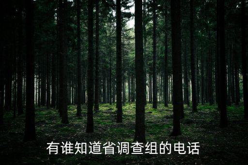 有誰(shuí)知道省調(diào)查組的電話
