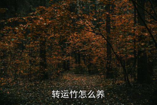 轉運竹怎么養