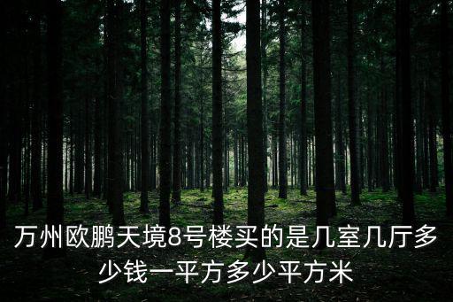 萬州歐鵬天境8號樓買的是幾室幾廳多少錢一平方多少平方米