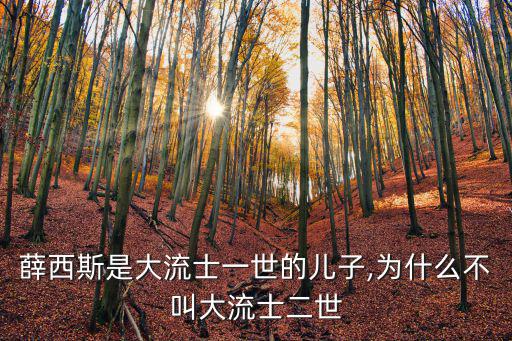 薛西斯是大流士一世的兒子,為什么不叫大流士二世