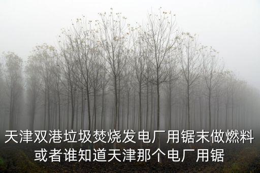 天津雙港垃圾焚燒發(fā)電廠用鋸末做燃料或者誰知道天津那個電廠用鋸