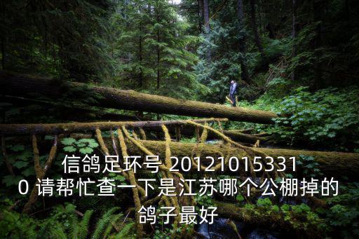 信鴿足環號 201210153310 請幫忙查一下是江蘇哪個公棚掉的鴿子最好