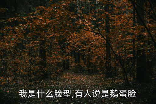 我是什么臉型,有人說是鵝蛋臉