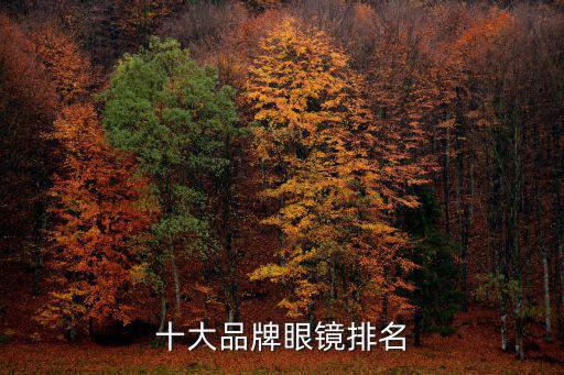 世界十大眼鏡品牌,全球十大眼鏡品牌分別是哪些?