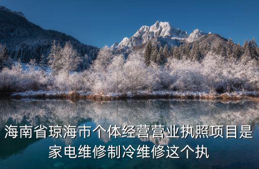 海南省瓊海市個體經營營業執照項目是家電維修制冷維修這個執