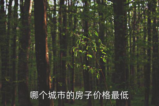 哪個(gè)城市里房價(jià)低一些，哪個(gè)城市的房子價(jià)格最低