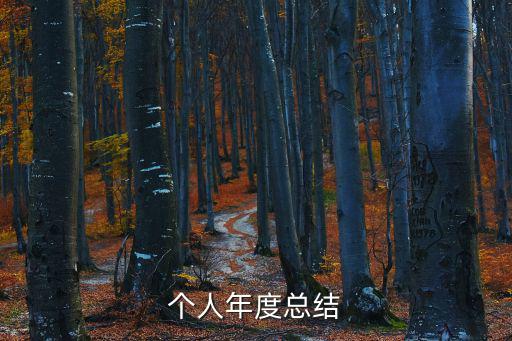 個人年度總結(jié)