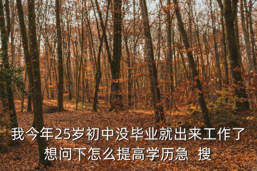 我今年25歲初中沒畢業(yè)就出來工作了想問下怎么提高學(xué)歷急  搜
