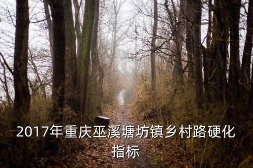 2017年重慶巫溪塘坊鎮鄉村路硬化指標