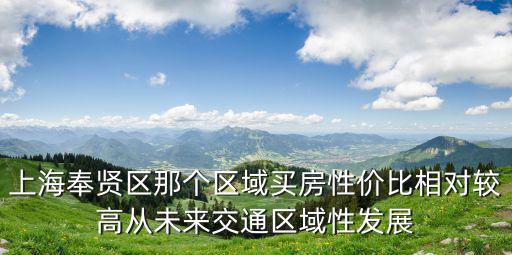 上海奉賢區那個區域買房性價比相對較高從未來交通區域性發展