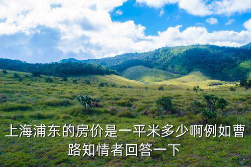 上海浦東的房價是一平米多少啊例如曹路知情者回答一下