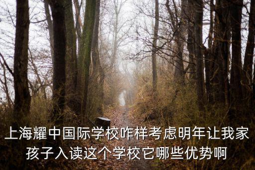 上海耀中國際學(xué)校咋樣考慮明年讓我家孩子入讀這個學(xué)校它哪些優(yōu)勢啊