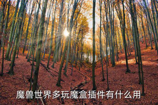 魔獸世界多玩魔盒插件有什么用