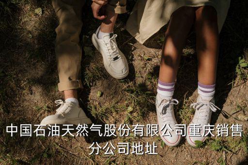 重慶市渝中區臨華路20號，重慶渝中區平安保險支公司在什么位置