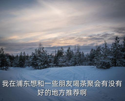 我在浦東想和一些朋友喝茶聚會有沒有好的地方推薦啊