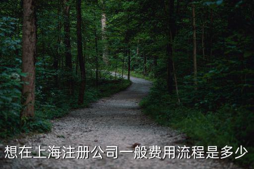 想在上海注冊公司一般費用流程是多少