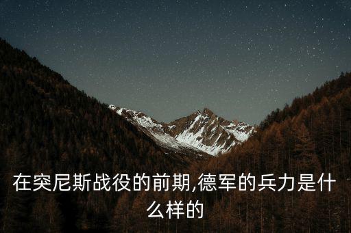 在突尼斯戰(zhàn)役的前期,德軍的兵力是什么樣的