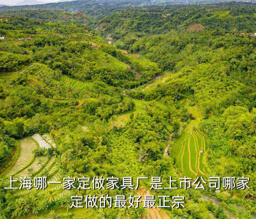 上海哪一家定做家具廠是上市公司哪家定做的最好最正宗