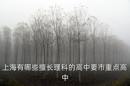 上海有哪些擅長(zhǎng)理科的高中要市重點(diǎn)高中