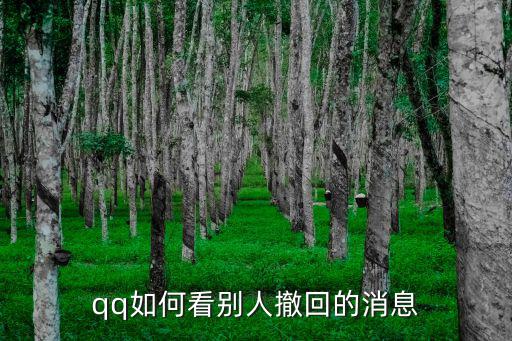 qq如何看別人撤回的消息