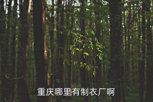 重慶市立達服裝，重慶有哪些服裝公司